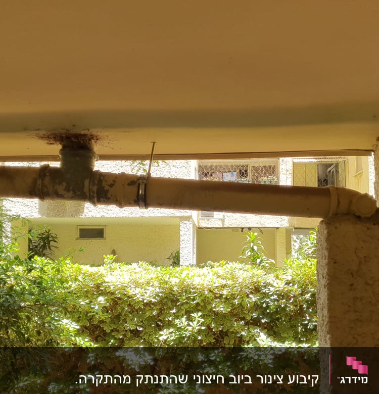 צינור מים עם חלודה בתקרה